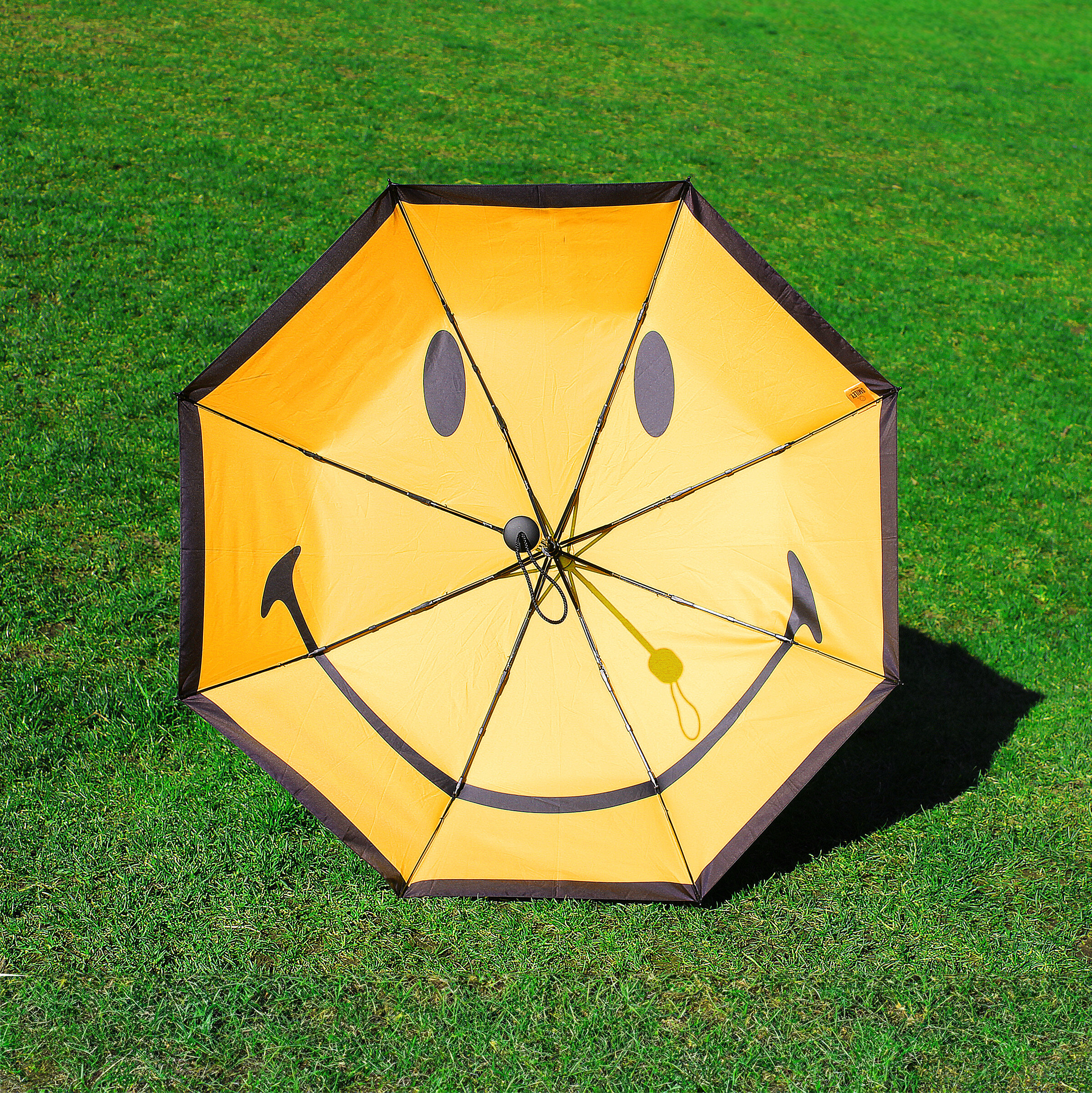 Fun Umbrella