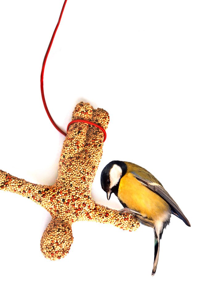 Bird bungee hotsell