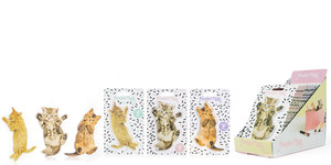 Cat Nail File Packaging