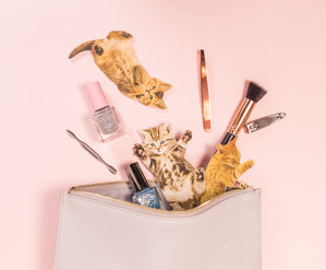 Nail files that look like kittens