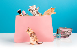 kitten shaped nail files