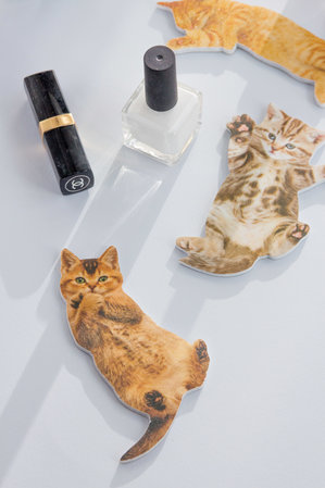 2 cat nail files