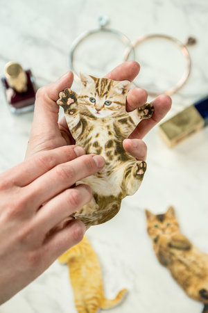 file your nails on a cat