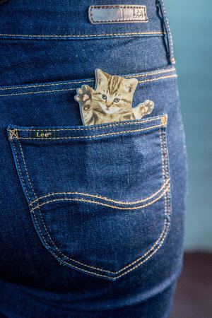 pocket size kitten nail files