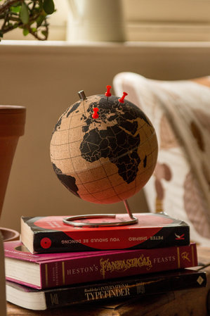 recyclable globe with pins next to flower pot