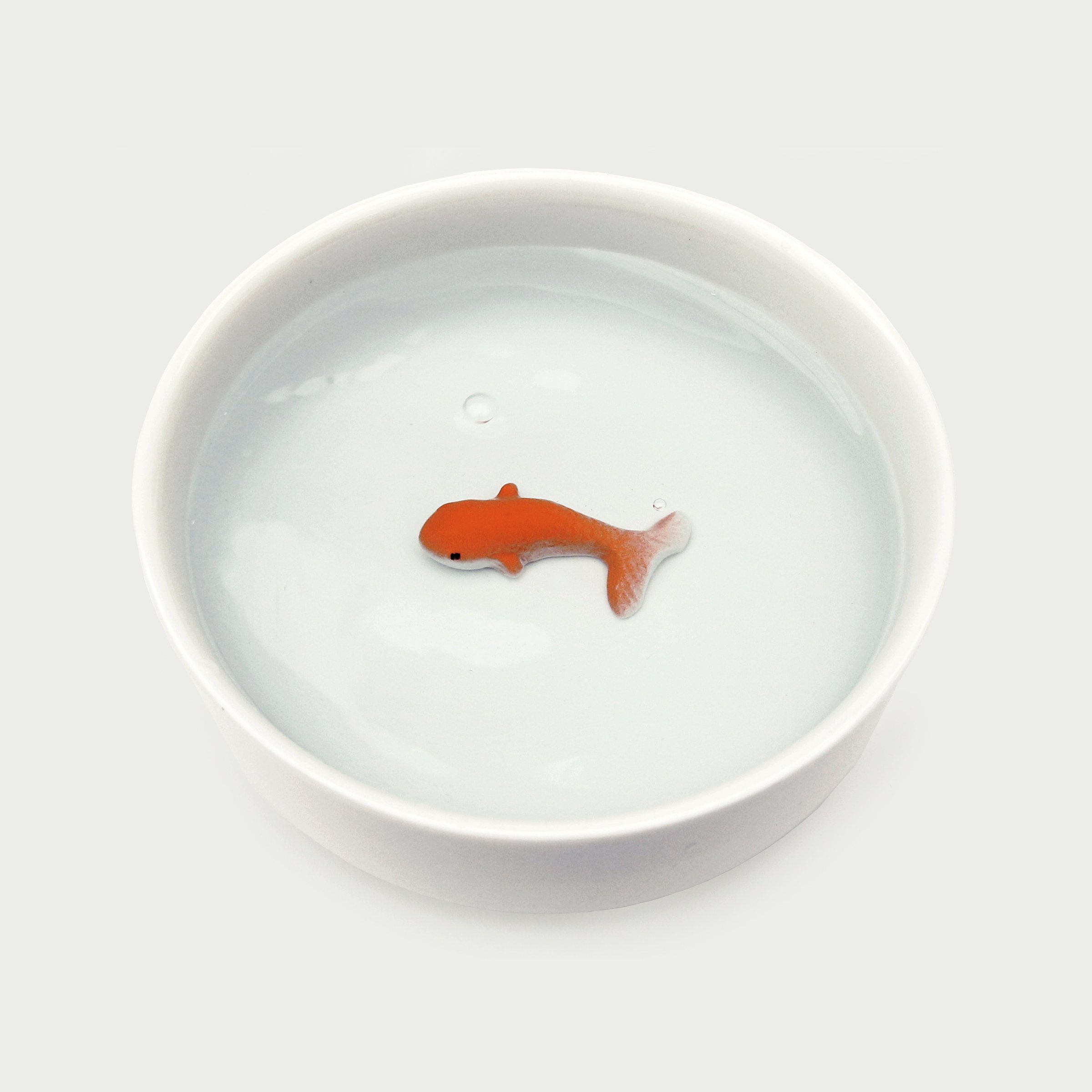 Water Bowl for Cats with fake fish