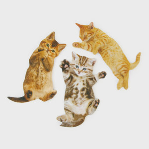 Cute Cats with Scratchy Tummies