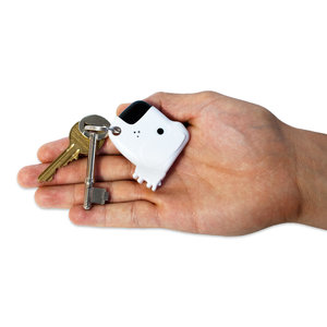 Dog Keyfinder in hand