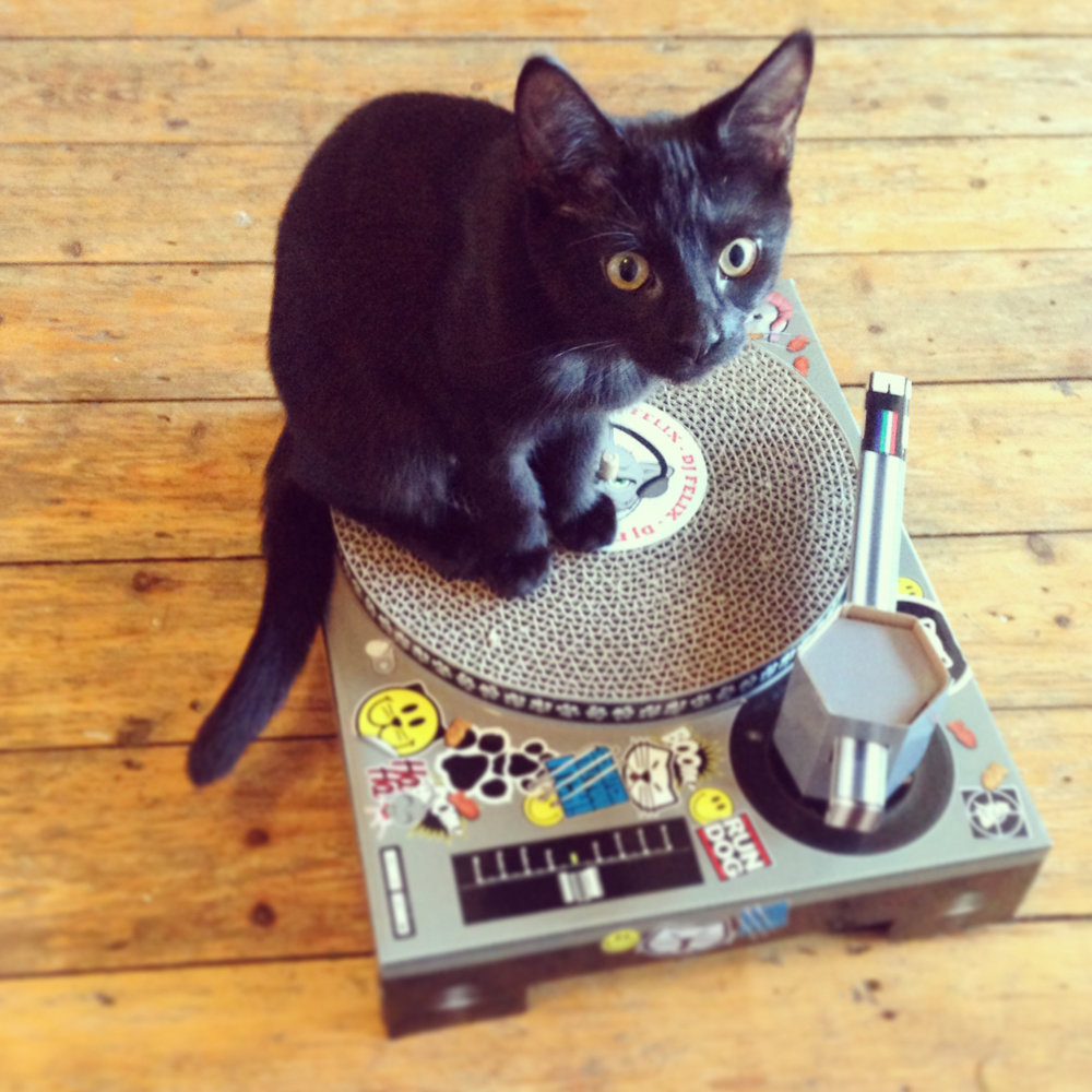 Black sales cat scratcher