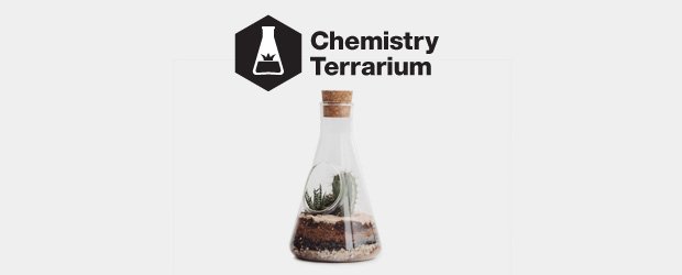 Bottle Terrarium Ecosystem Glass Chemistry Flask Kit