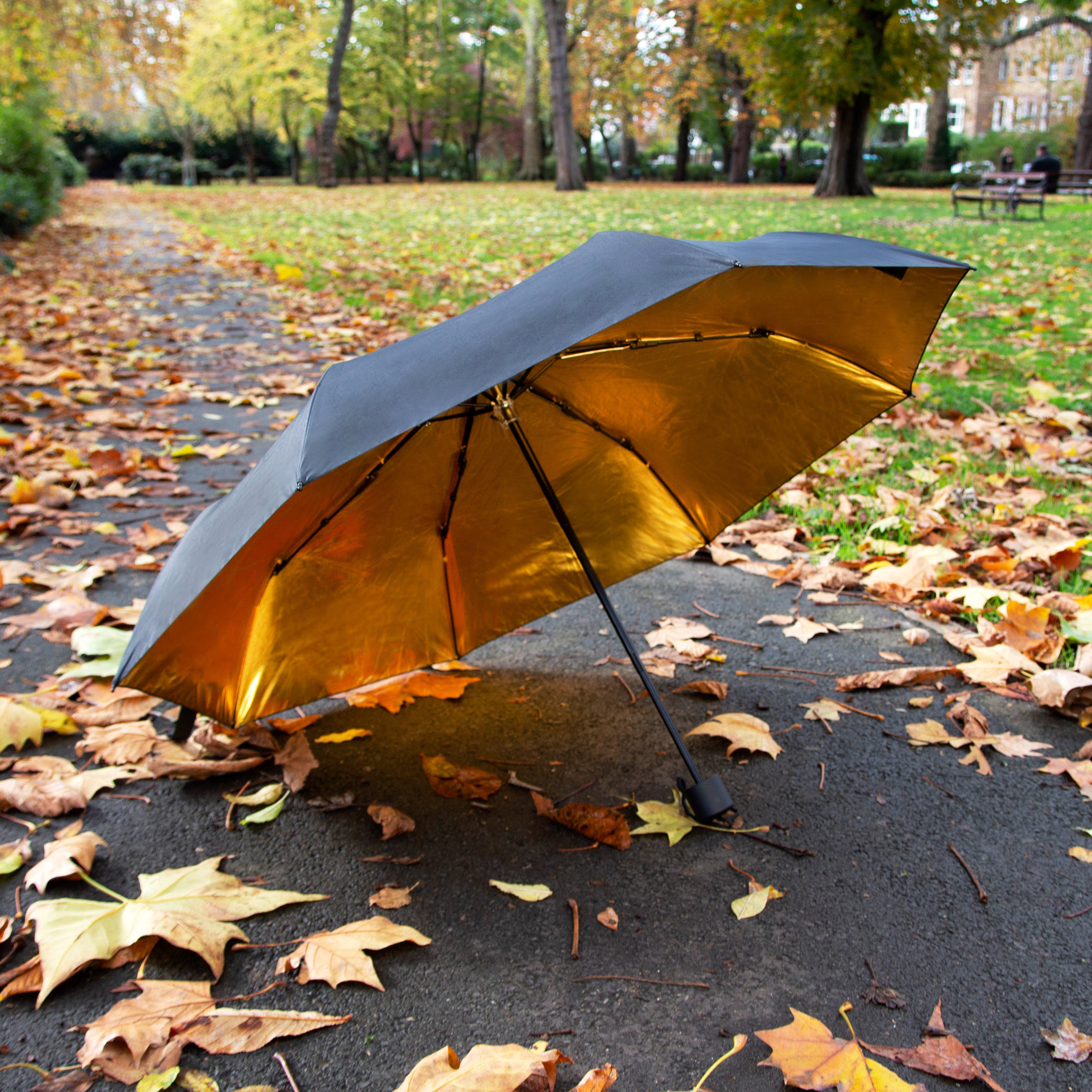 Coll umbrella - gold inside