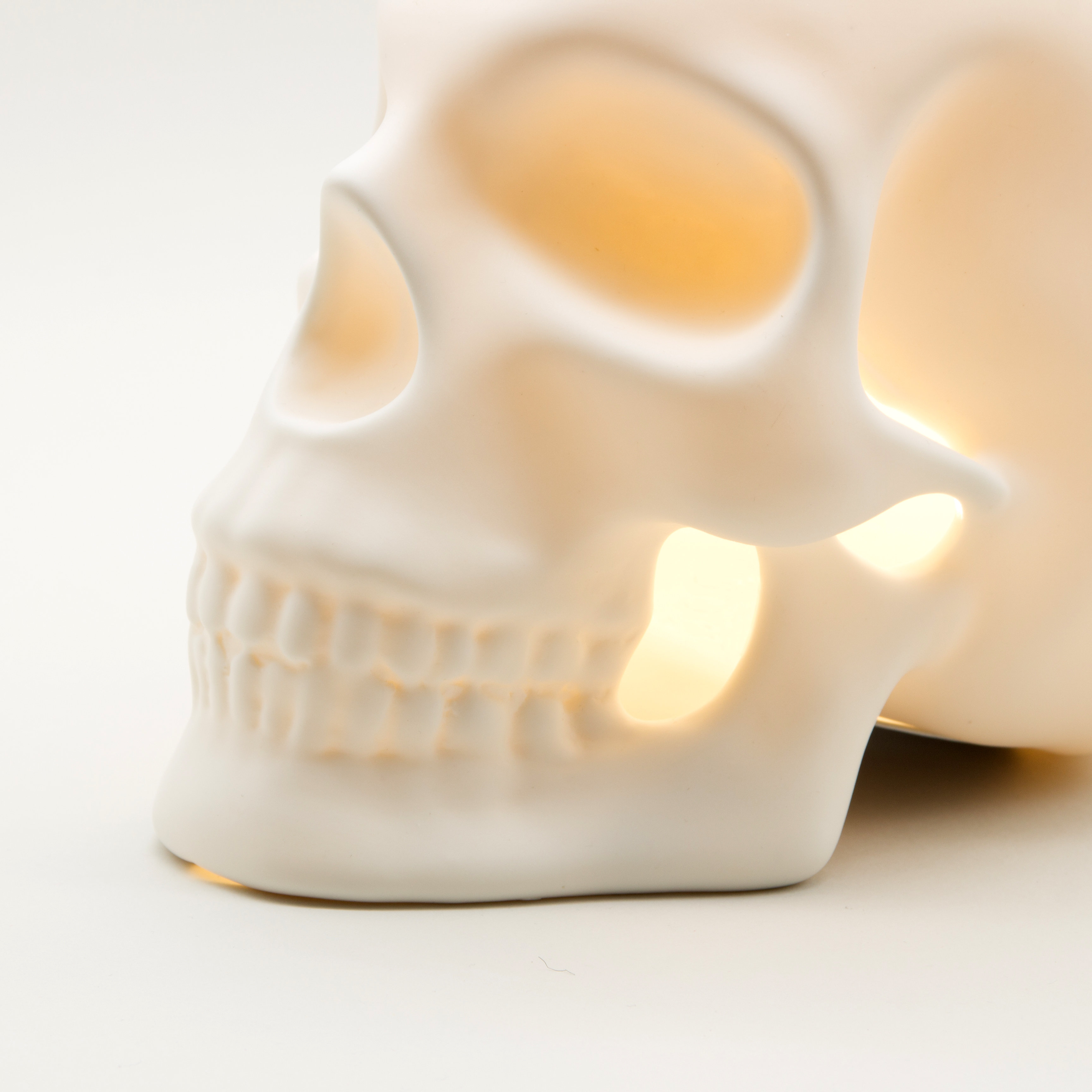 Skull light close up