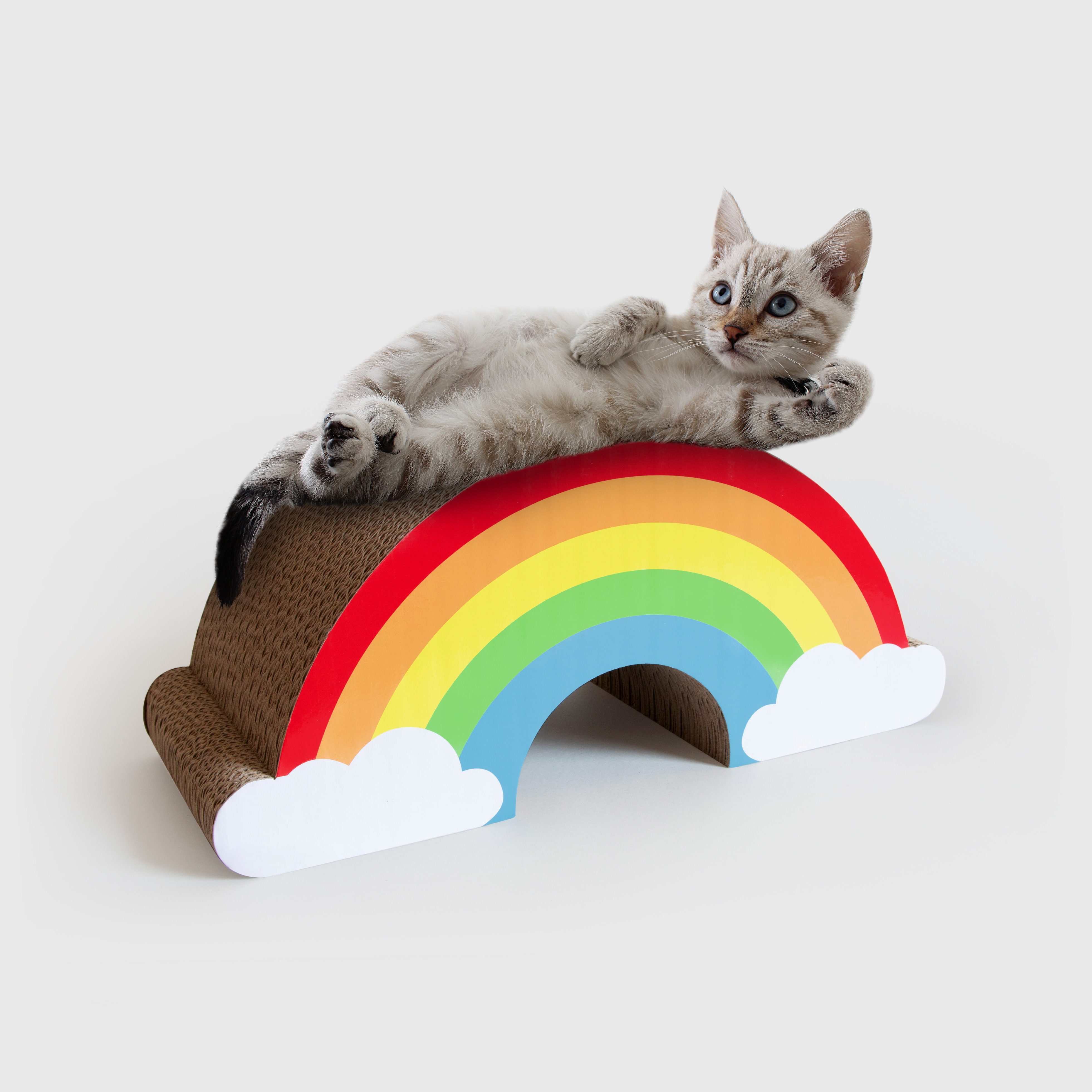 Cat Lying On A Cardboard Rainbow