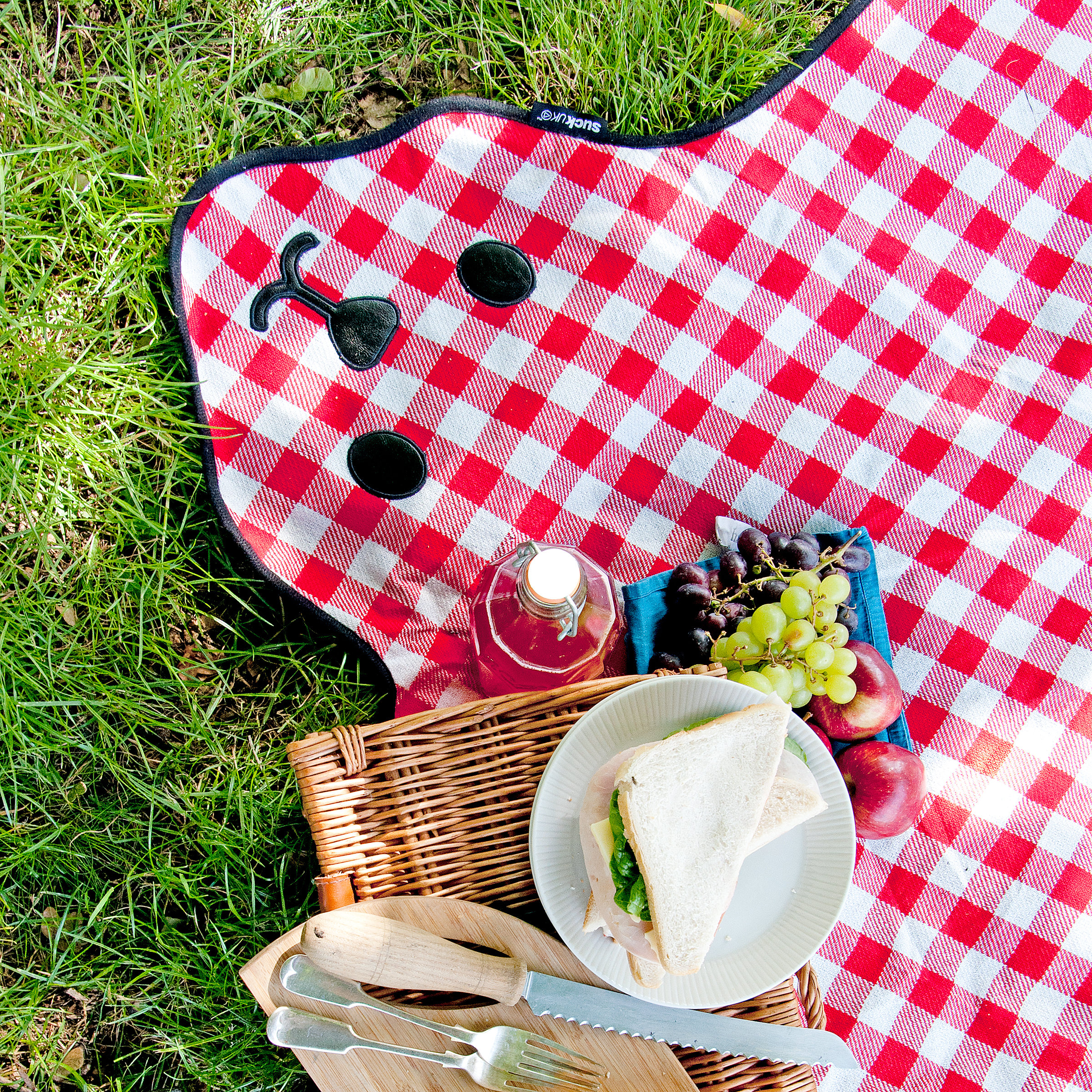 Bearskin Picnic