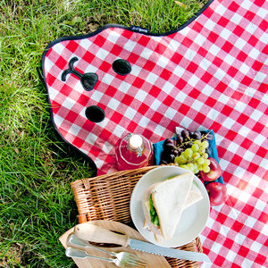 Bearskin Picnic