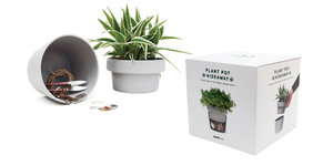 Plant Pot Hideaway Pack and Product