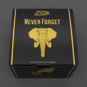 Iron and Glory Never Forget