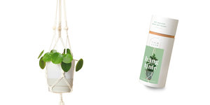 Pack and Product Hang Time