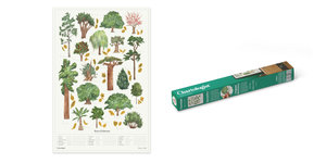 Pack and Product Trees