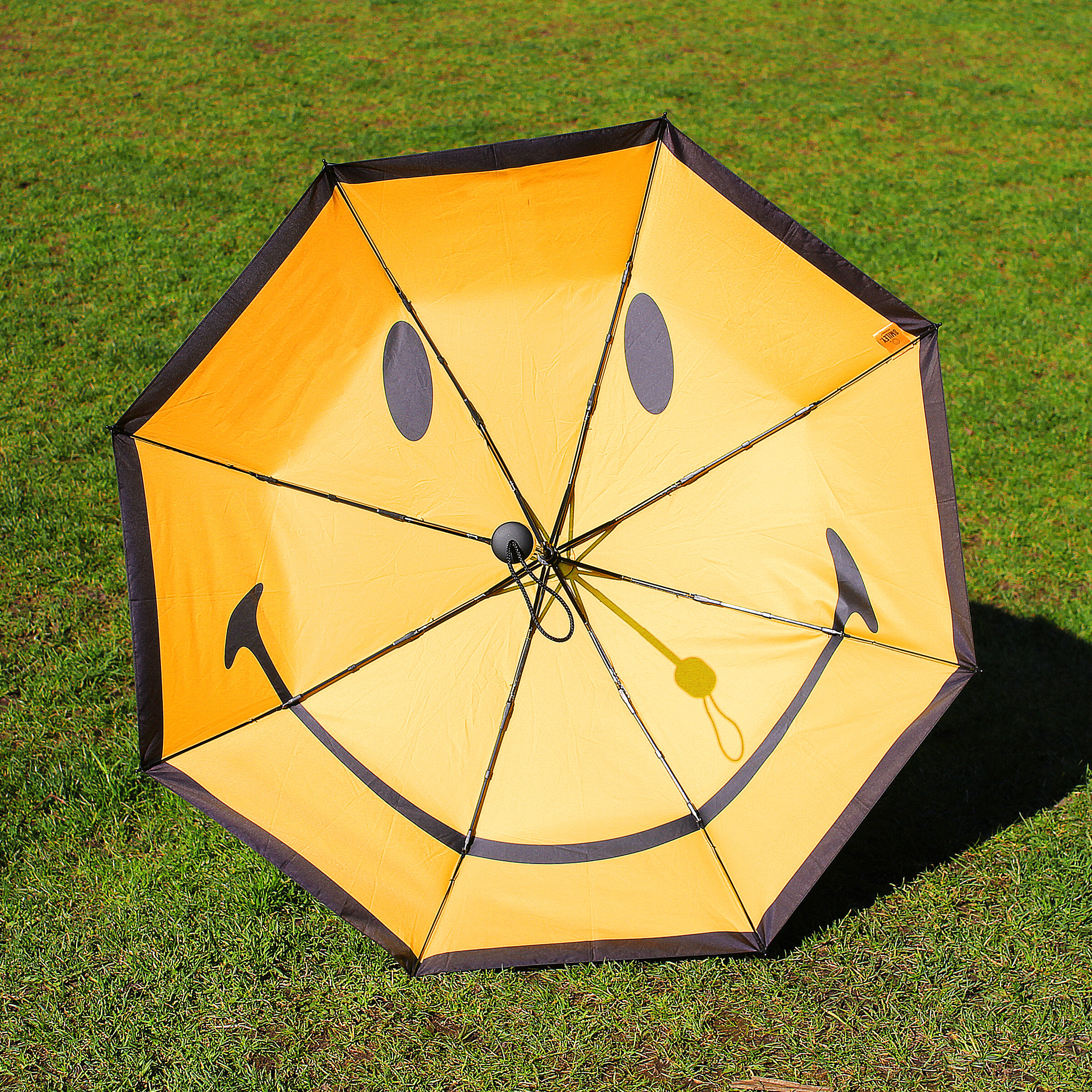 Fun Umbrella