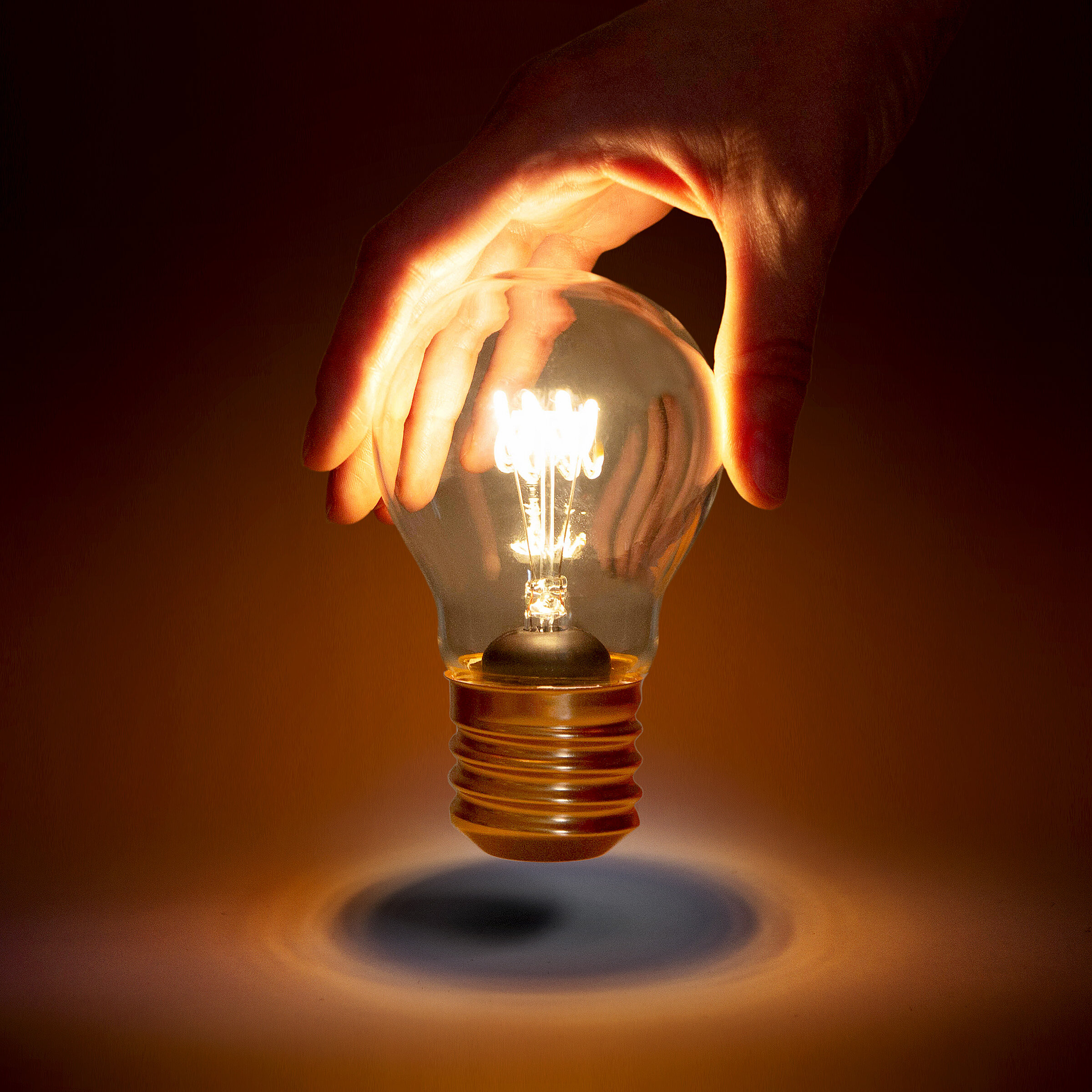 Hand holding a lightbulb