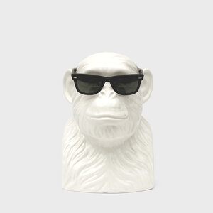 chimp with shades