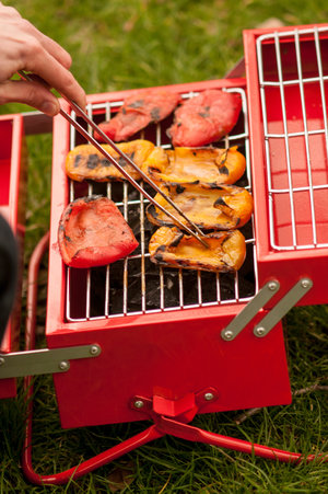 Portable grill