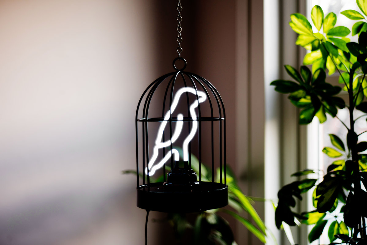 one size Black/White Metal Suck UK Neon Bird in a Cage Lamp-Both USB and Battery Powered 6 Light 
