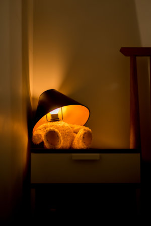 Teddy Lamp Dark