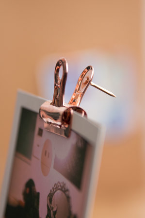 closeup of mini clips for notice board 