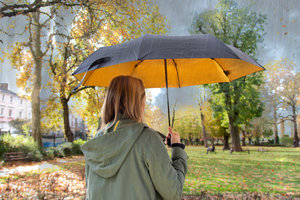 Umbrella, gold inside, black outside