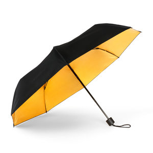 Gold and Black Umbrella (open)