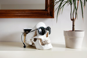 black skull head decoration with sunglasses