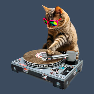 Cardboard Turntable for cat DJs
