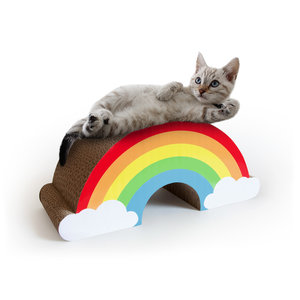 Cute cat lying on rainbow cat scratcher