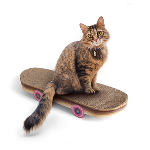 Cat sitting on cardboard skateboard