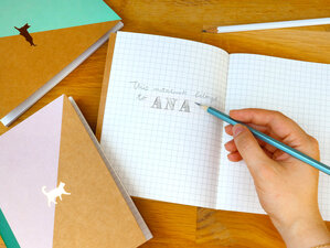 Cat and Dog Note Books, Good Design Works, Three, Gold, Pet