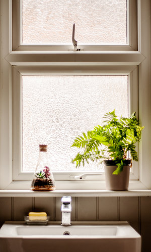 Conical flask terrarium in window