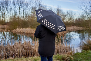 Umbrella Changes Colour When it rains - shown dry