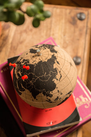 top view of cork pin globe