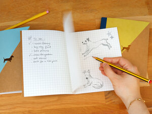 Cat and Dog Note Books, Good Design Works, Three, Gold, Pet