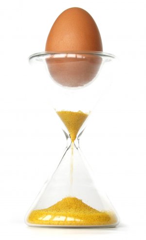 egg cup timer1