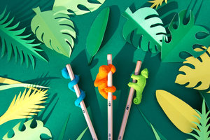 Snake, sloth and chameleon erasers on wooden pencils with paper leaves