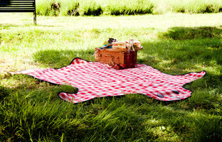 Red and White Blanket