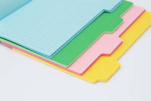 Colorful Tab Notebooks