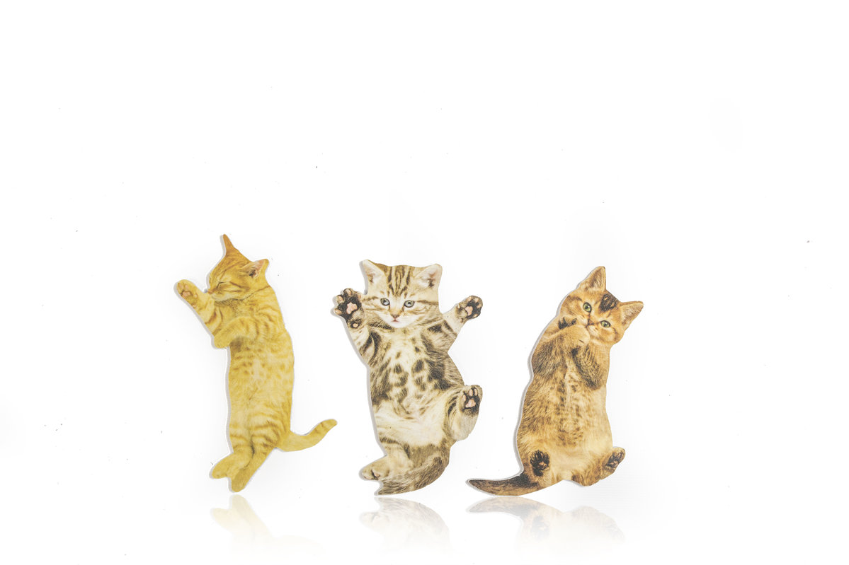 Cat Nail Files : Cute cat shaped nail files.