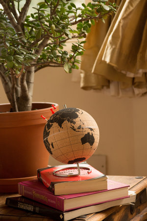 push pin travel globe on top of books