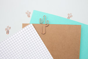 Stylish gold cactus paper clips for school or home