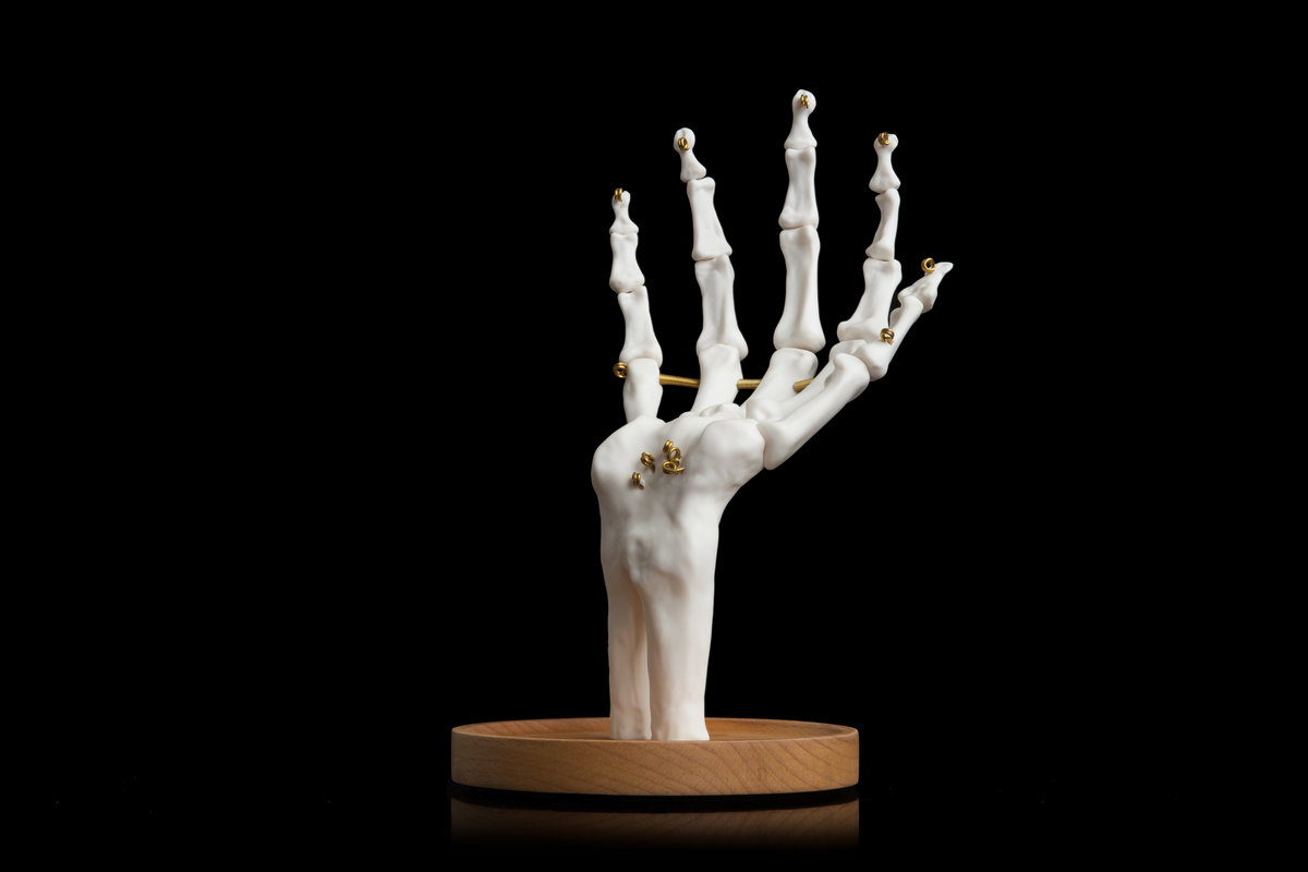 skeleton hand holding ball