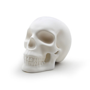 Ceramic Skull Lamp OFF